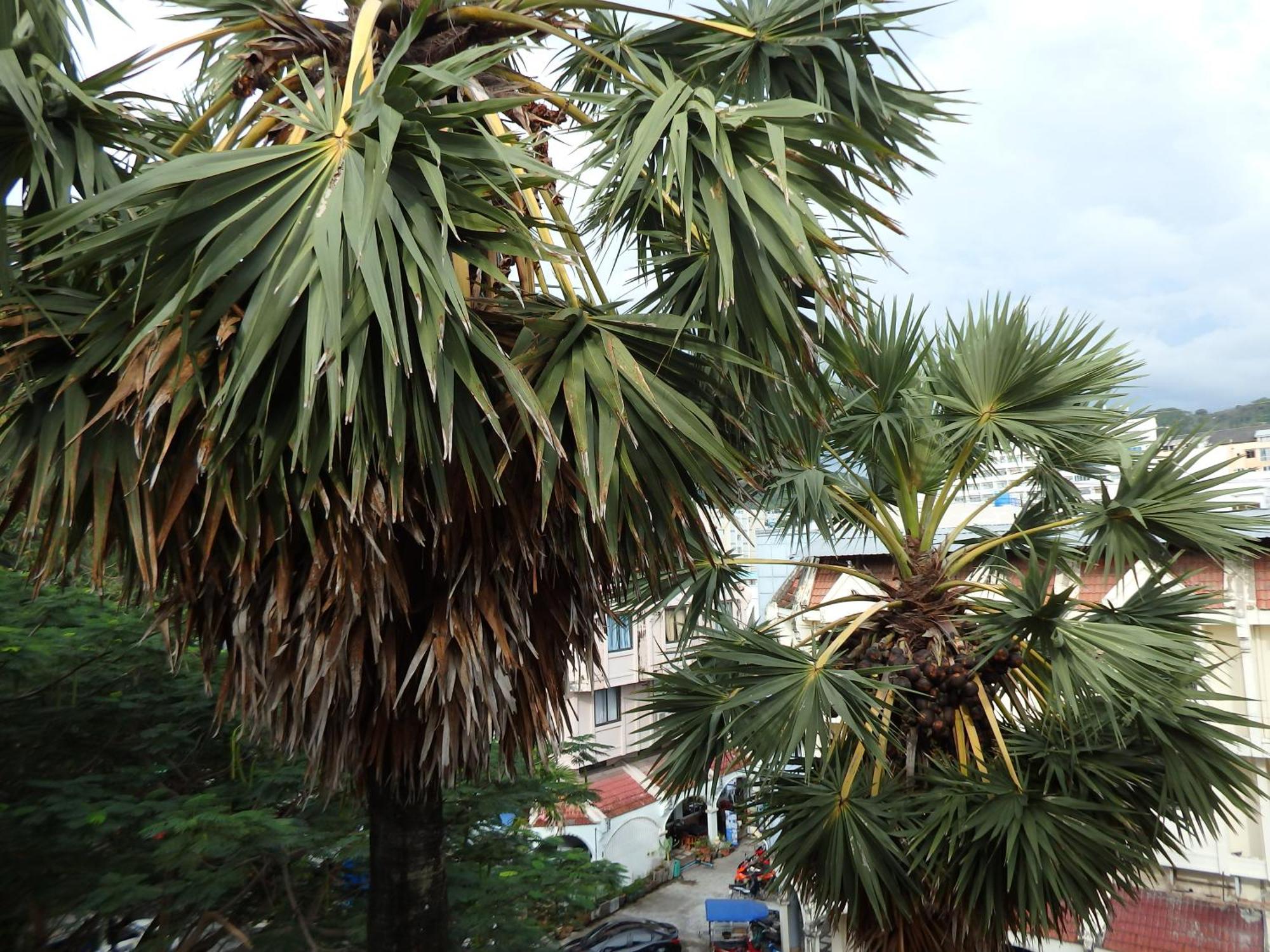 Boomerang Inn Phuket Exteriör bild